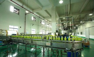 從曇花一現的飲料品牌看企業家精神缺失的警示